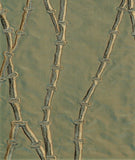 TCE/5591 Fabric Silk (Green)