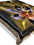 Printed Multi AC Double Bed Quilt 250 GSM