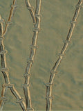 Green Silk Upholstery Fabric front view