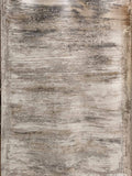 Celebrity Bellagio Carpets - Jagdishstoreonline 