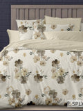 English Home 220TC Double bedsheet with Pillow Cover - Jagdishstoreonline 