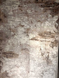 Carpets 134802 - Jagdishstoreonline 