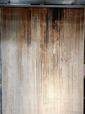 Printed Carpet front view