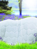 Spread Home LAVENDER WINTER SEASON QUILT, COMFORTER (60x90 Inch) - Jagdish Store Online Since 1965