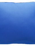 Blue Filler front view