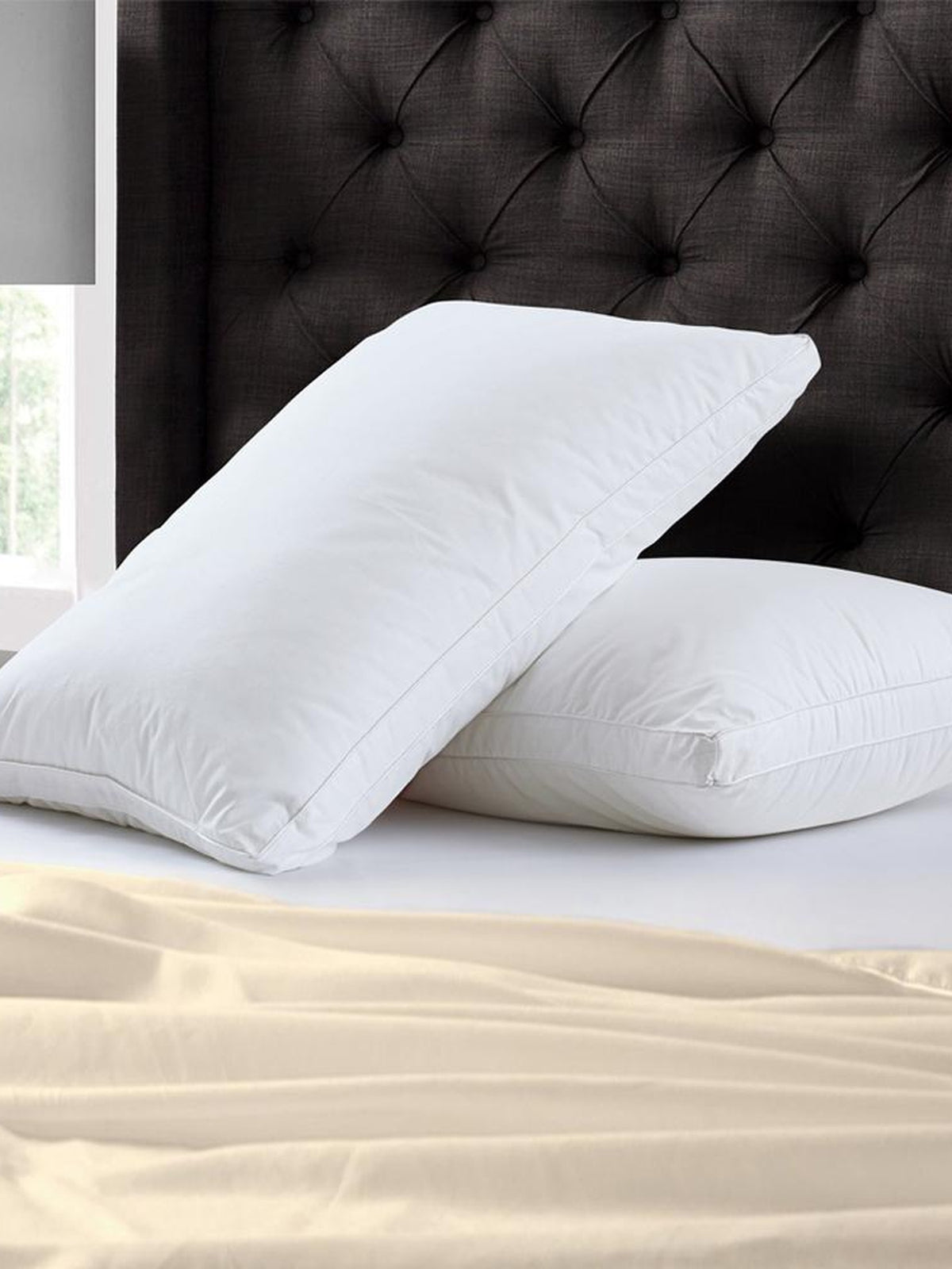 Two plain white piped pillows against a dark tufted headboard