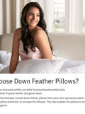 Ruby 100% Goose Down Feather Pillow - Jagdishstoreonline 