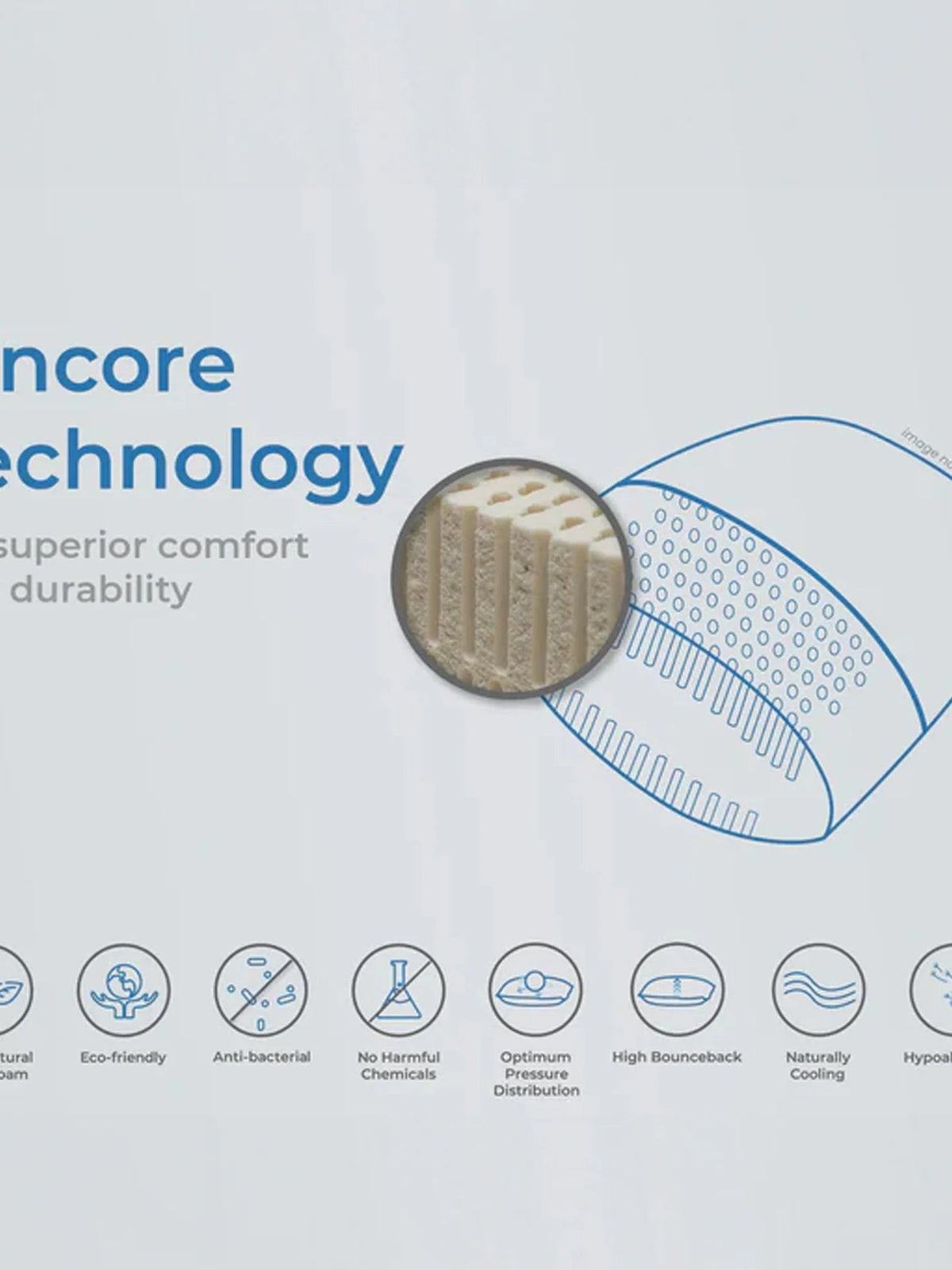 Pincore Technology diagram: latex pillow cross-section and comfort benefits