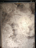 Celebrity Bellagio Carpets - Jagdishstoreonline 