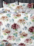 English Home Bed Sheet - Jagdishstoreonline 