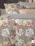 English Home Bed Sheet - Jagdishstoreonline 