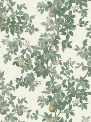 Citrus Blossom Orchard Wallpaper Cream Green