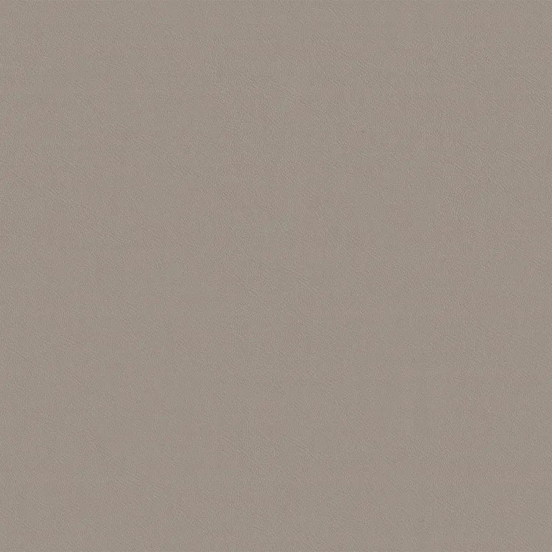 Cashew Plain Uphlostary Fabric