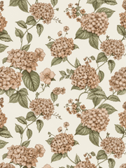 Hydrelia Hydrangea Blossom Wallpaper