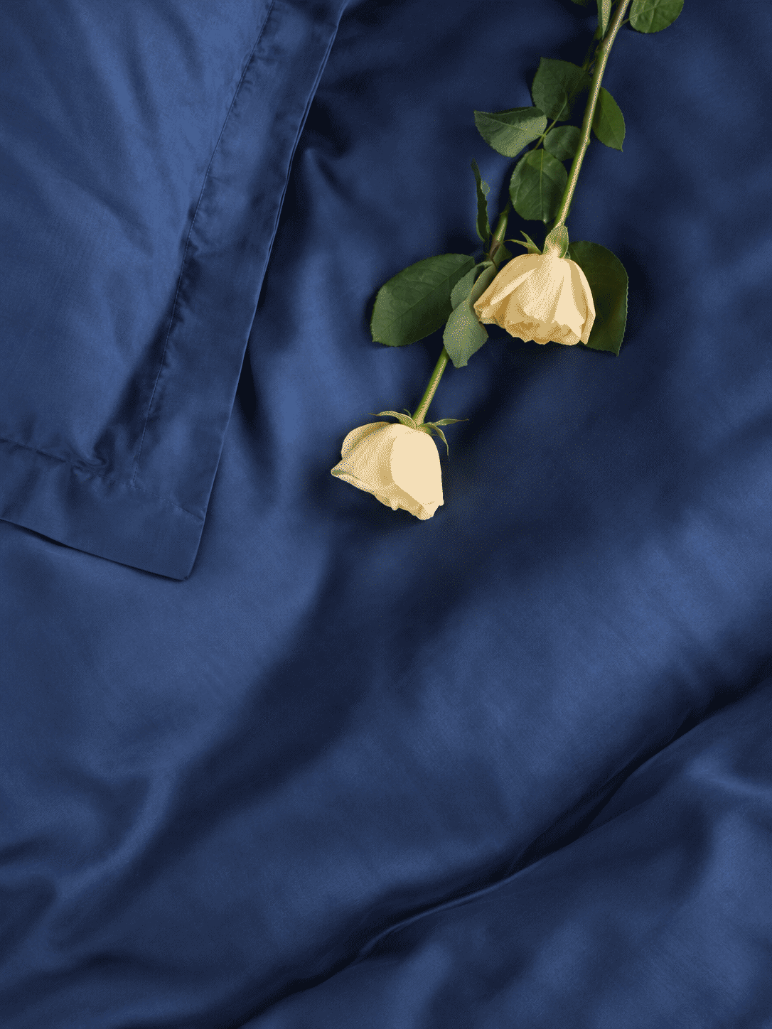 Eucalyptus Lyocell Cotton Bedsheet with Pillowcases
