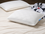 mmFoam Passion Pillow (100% Organic Natural Latex)