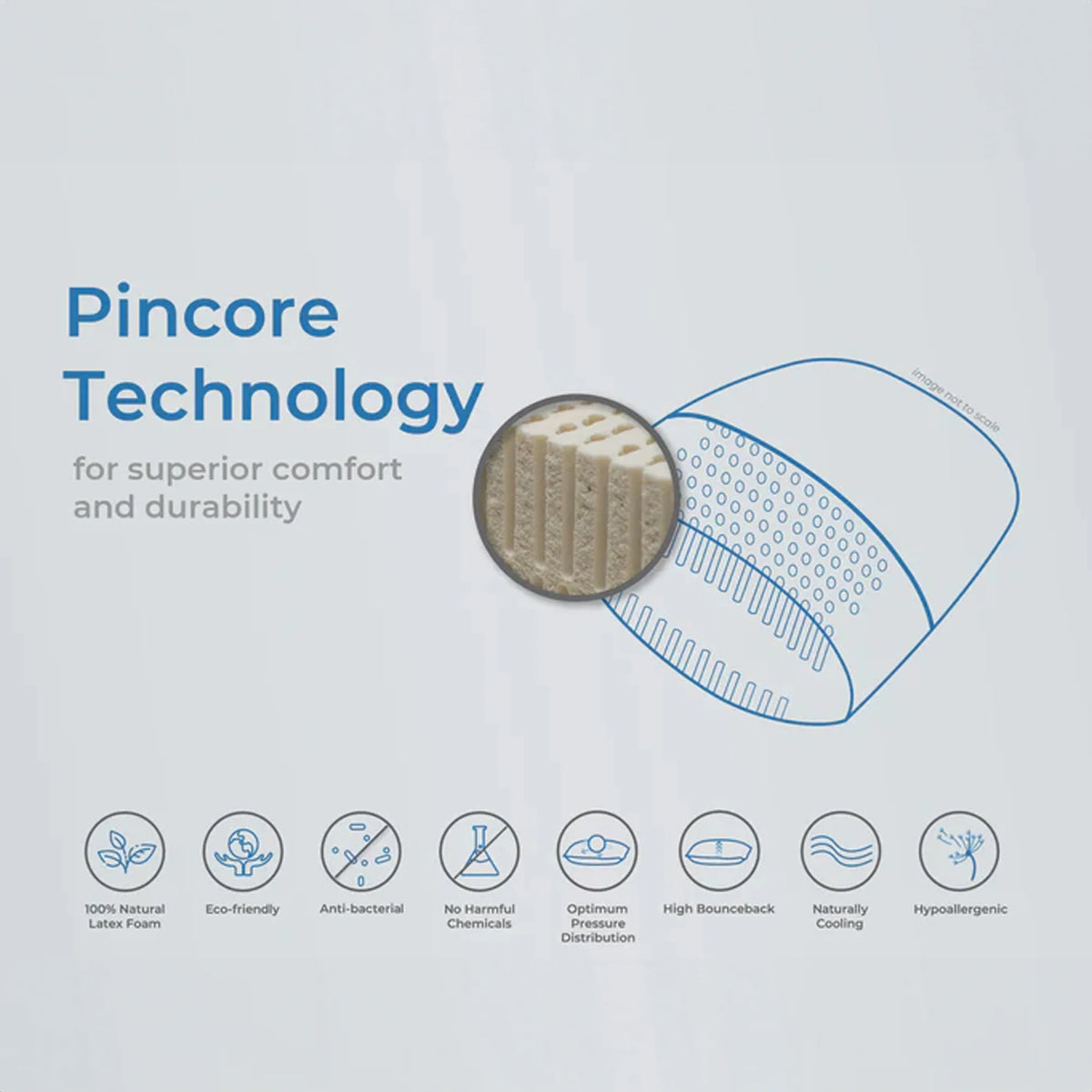 Pincore Technology diagram: latex pillow cross-section and comfort benefits