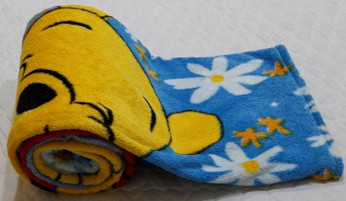 Disney (Printed) Blanket(57 X 98 Inch)-Polyester - Jagdish Store Online Since 1965