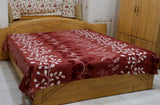 Europa Printed Blanket(220 X 240 Cm)-Polyester - Jagdish Store Online Since 1965